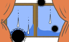 自然素材で家を建てる、リフォームする時の工務店の選び方　〜自然素材の家はカビないのか？〜